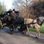 Horses and cortages for weddings