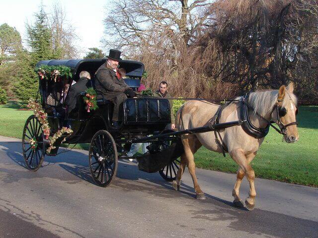 how-much-does-horse-and-carriage-cost-in-2023