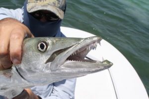 Florida Fishing License cost