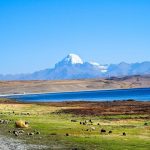How Much Does Kailash Trip Cost